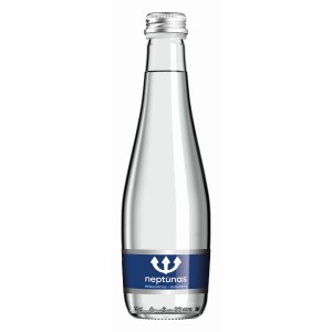 Mineralinis vanduo negazuotas NEPTŪNAS (stiklas), 330 ml 
